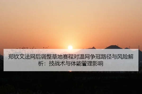 zheng-qin-wen-fa-wang-hou-tiao-zheng-cao-di-sai-cheng-dui-wen-wang-zheng-guan-lu-jing-yu-feng-xian-jie-xi-ji-zhan-shu-2-771.jpg